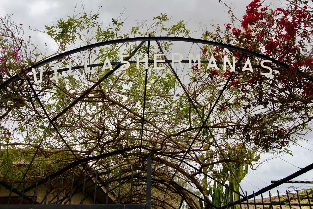 Exterior view in villa for sale in Canadas De San Pedro