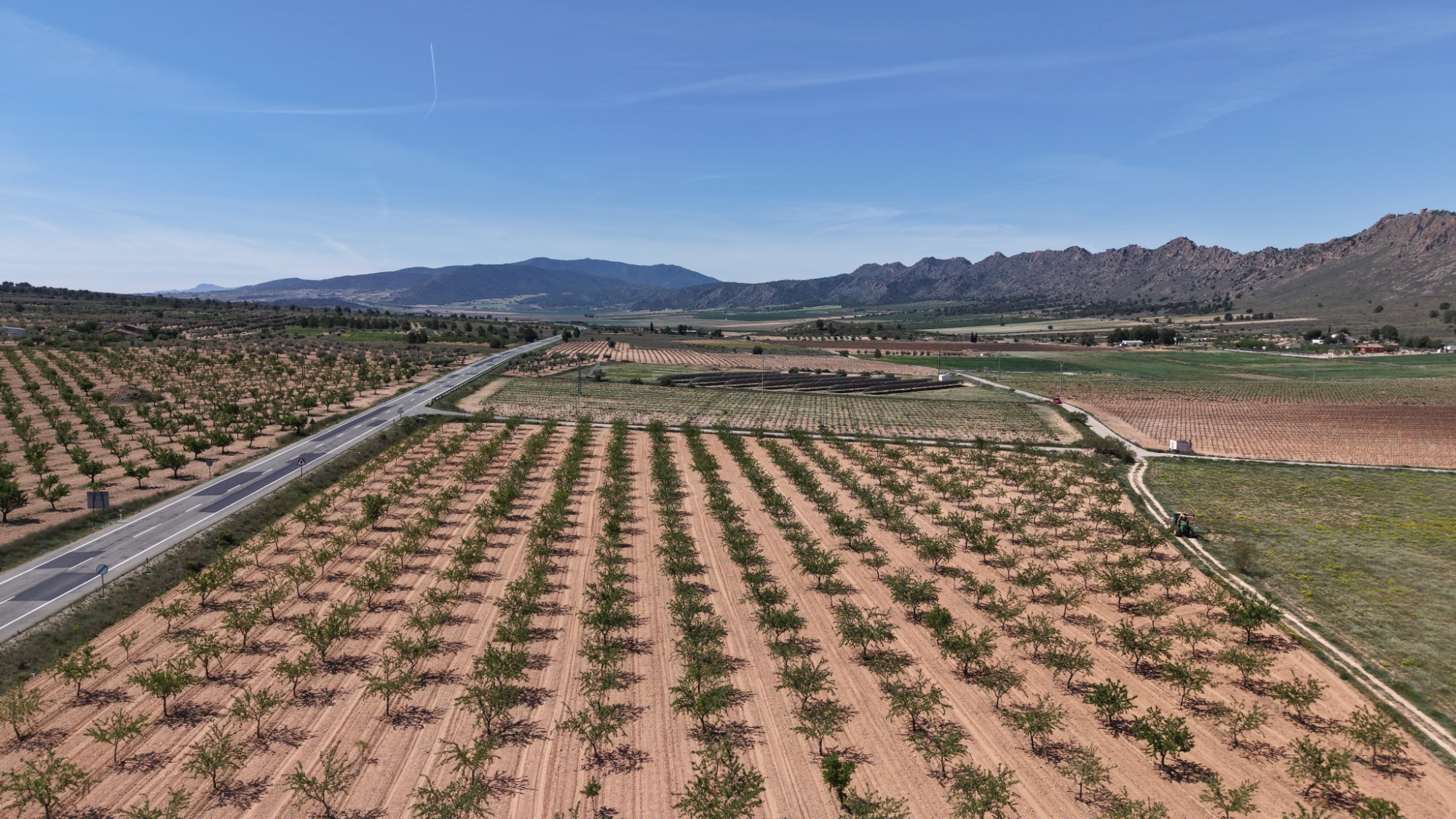 Garden in land for sale in Yecla